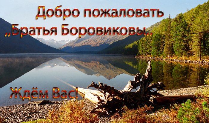 Туркомплекс «Братья Боровиковы» 