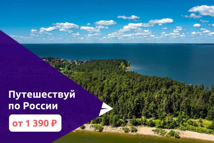Где искать выгодные предложения по авиаперелетам